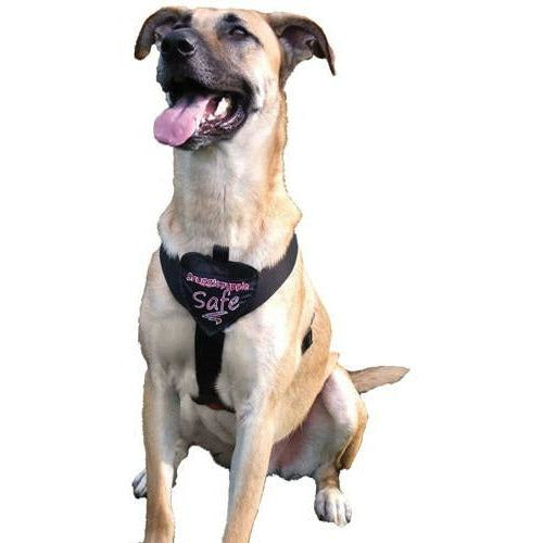 Dog Safety/Travel Harness, SmartPetLove.