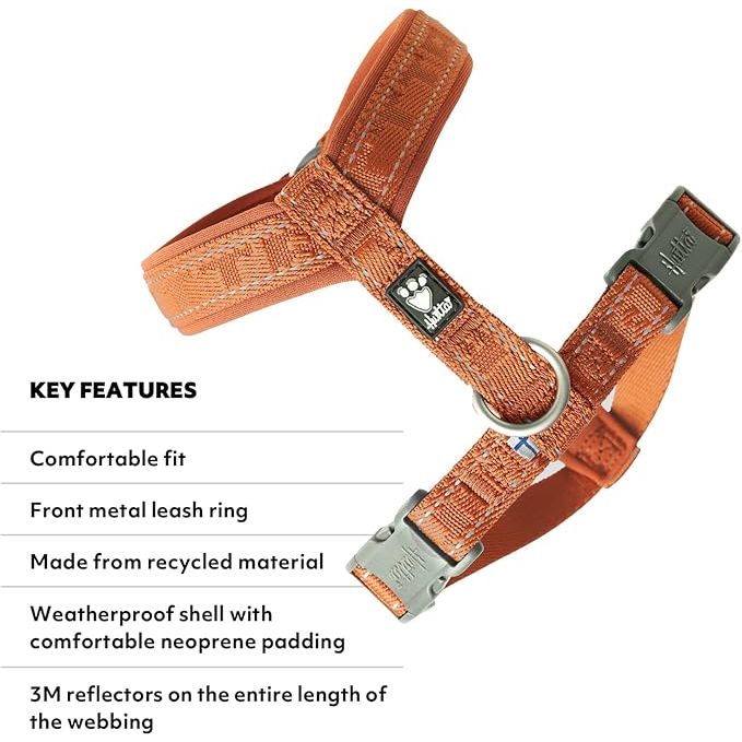 Casual Y-Harness ECO