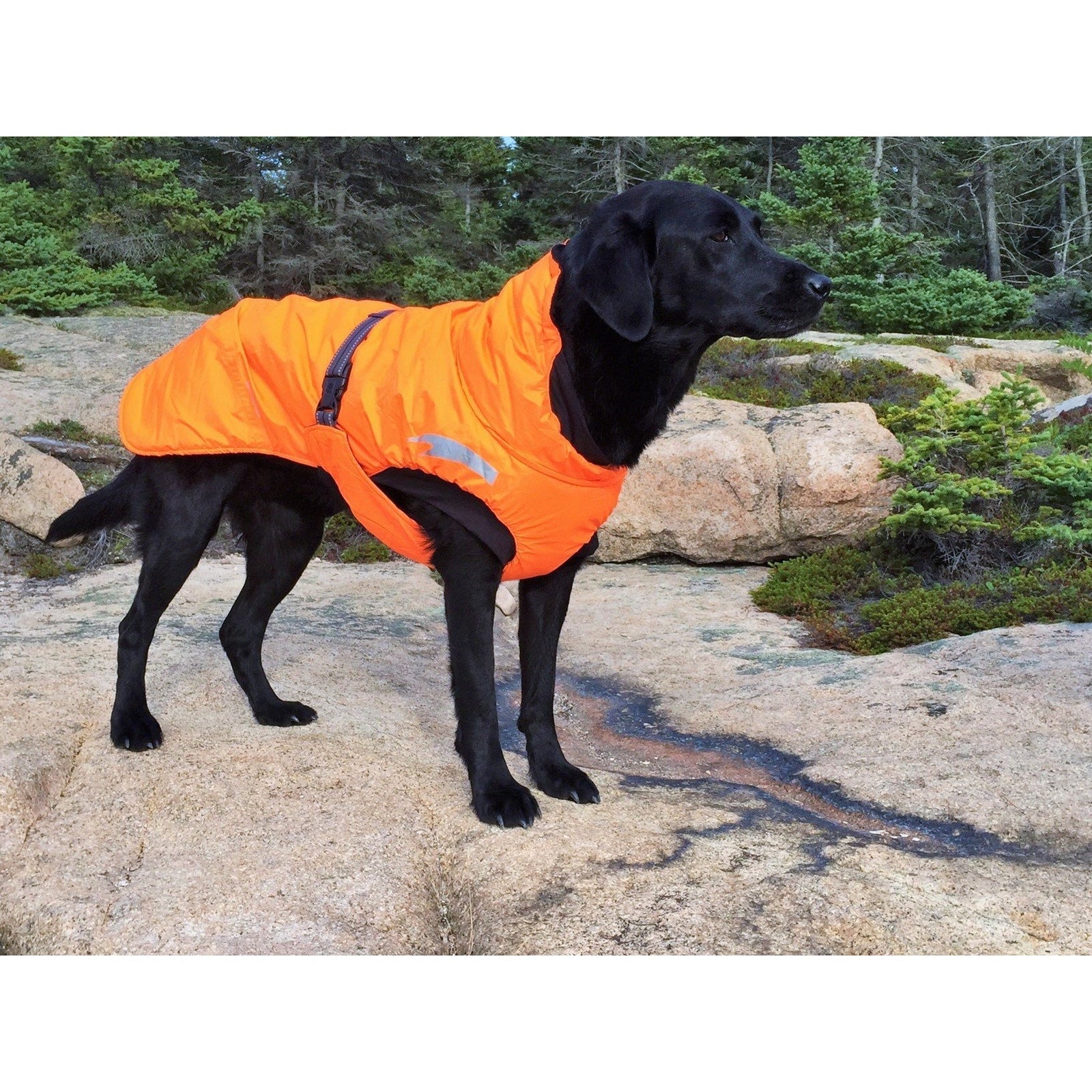 Hurtta - Summit Parka