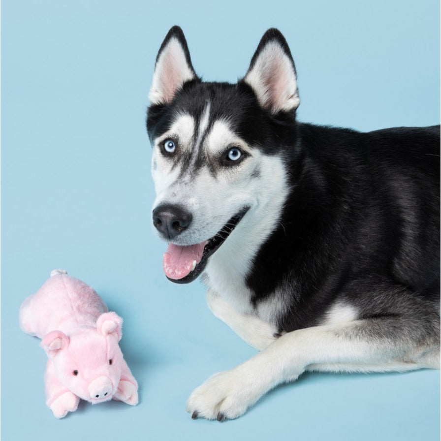 Fluff & Tuff - Petey Pig