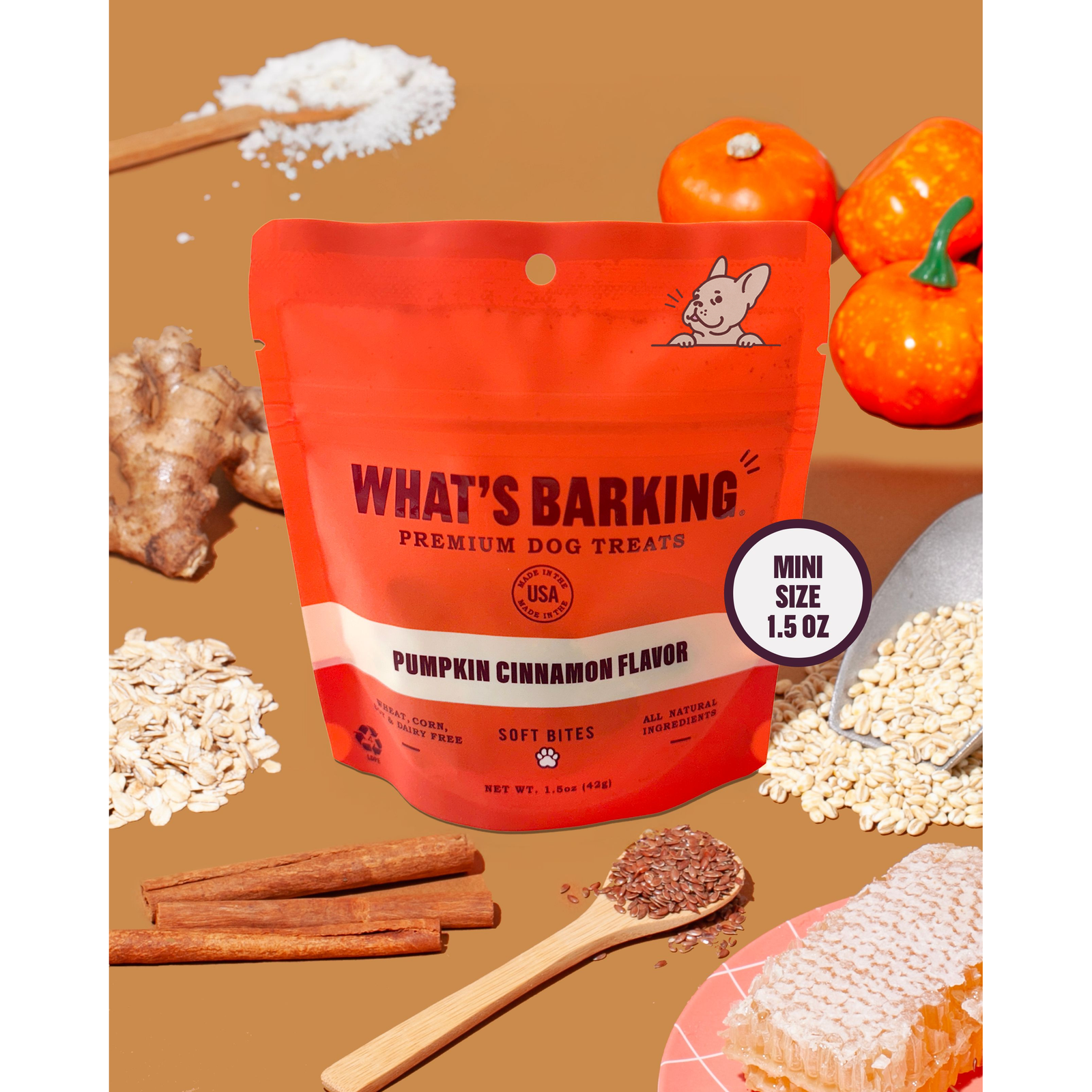 What's Barking - Pumpkin Cinnamon Dog Treats