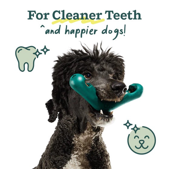 WOOF - The Bite n' Brush