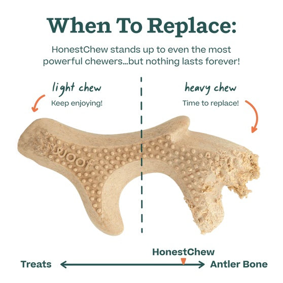 WOOF - The HonestChew - Durable Dog Chew Toy