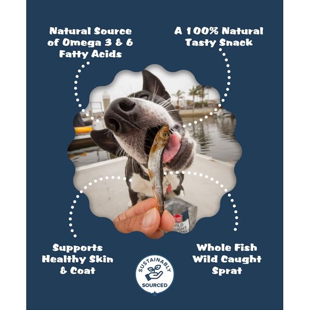 Plato Pet Treats - Wild Caught Baltic Sprat Dog Treats - 3 oz