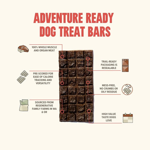 RYOKEN INSTINCT - Adventure Ready Dog Treat Bar, Beef