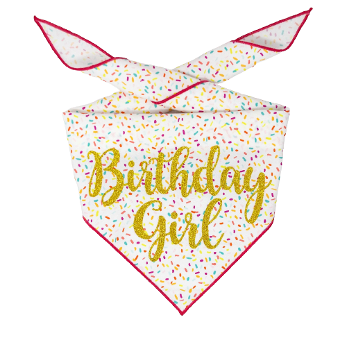 Paisley Paw Designs - Confetti Birthday Bandana