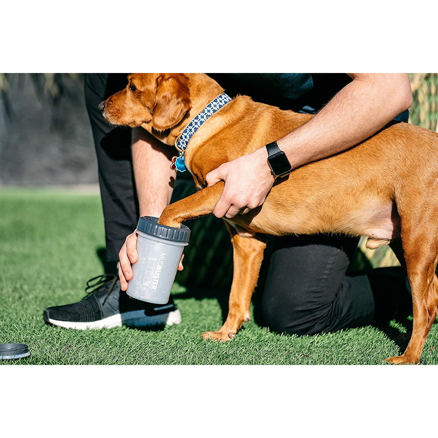 Dexas - Lidded Mudbuster