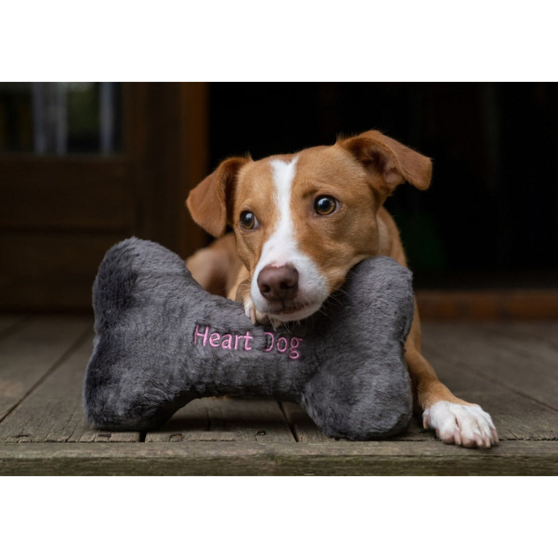 Fluff & Tuff - Heart Dog Bone