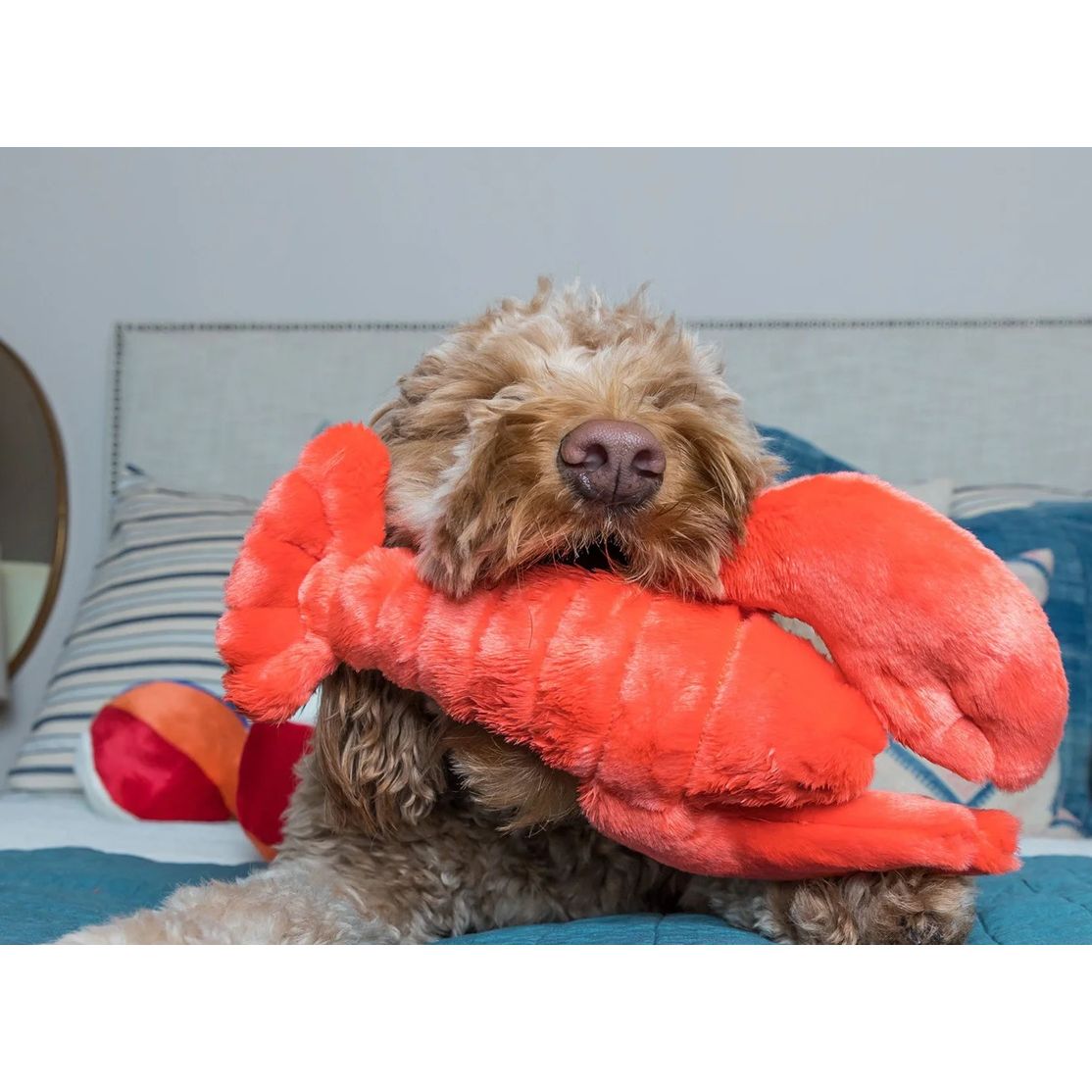 Fluff & Tuff - Manny Lobster