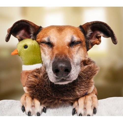 Fluff & Tuff - Morley Mallard