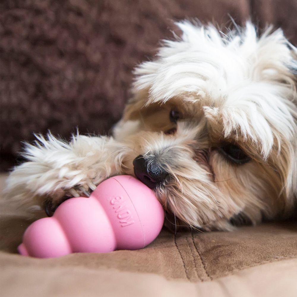 Kong - Puppy Kong