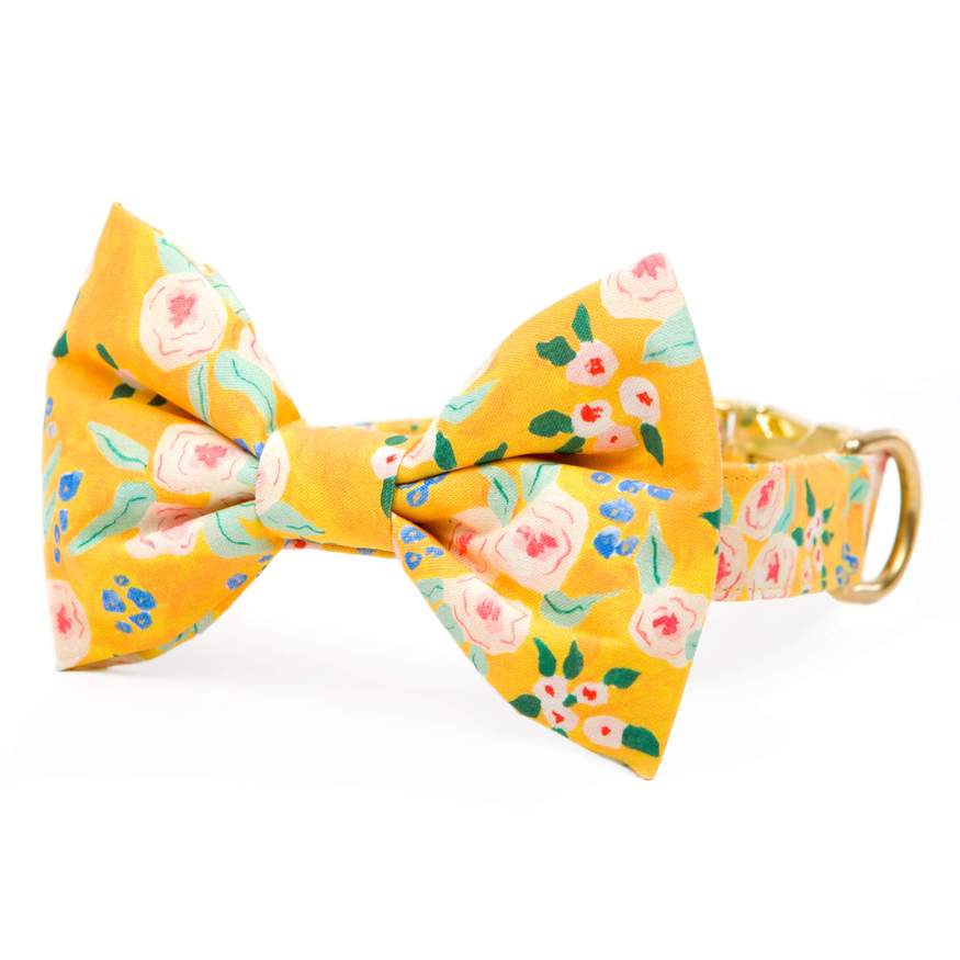 The Foggy Dog - Sunny Days Bow Tie & Collar Set