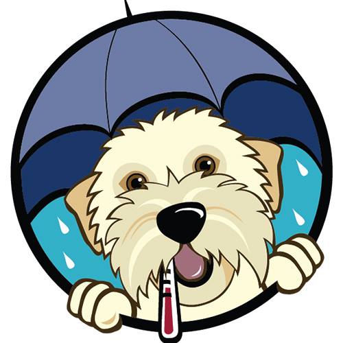 Under the Weather Pet