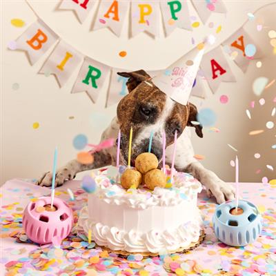WOOF - The Birthday Pupsicle