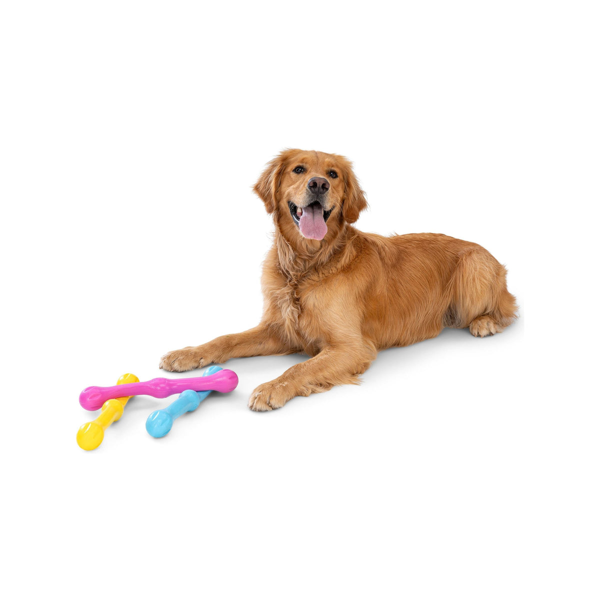 West Paw - Zogoflex Zwig, New Colors!