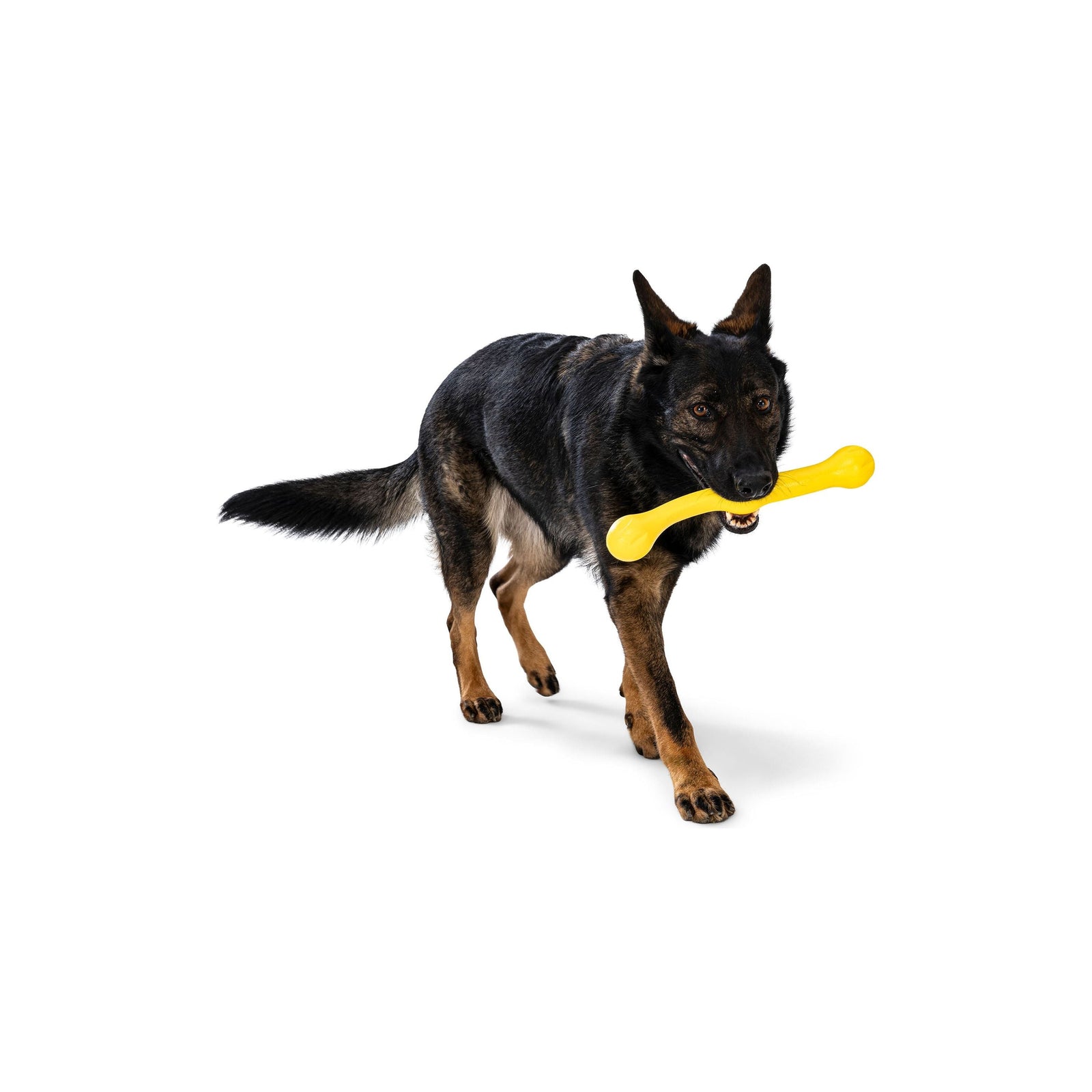 West Paw - Zogoflex Zwig, New Colors!