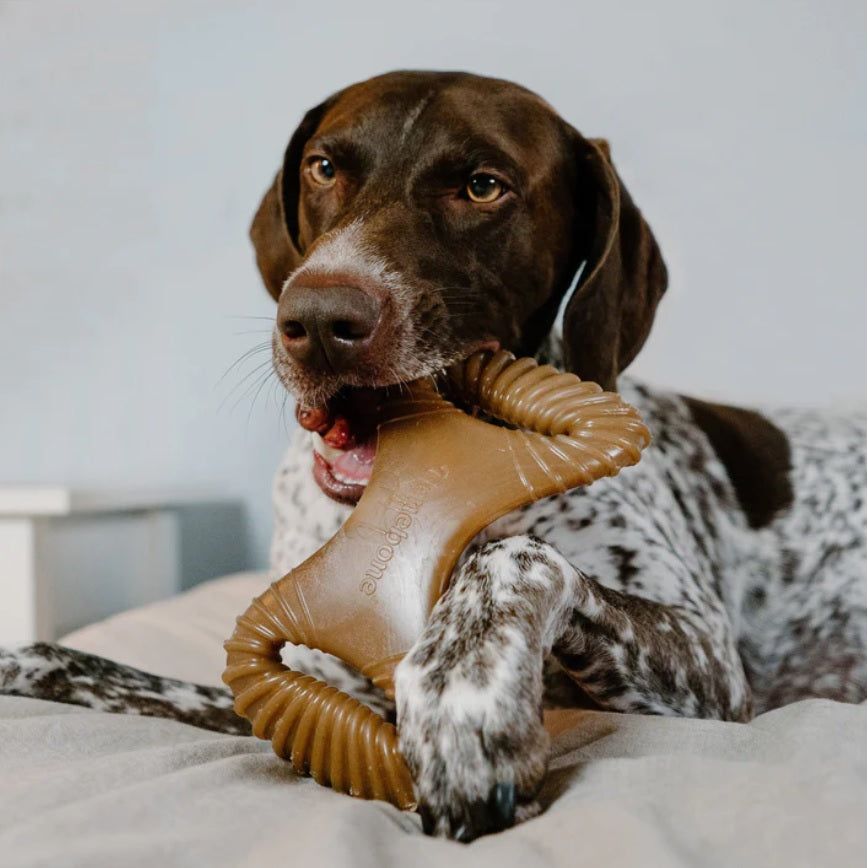 Benebone - Dental Chew