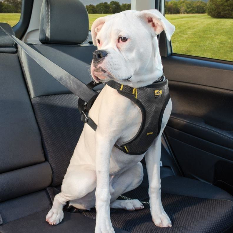 Kurgo - Impact Harness