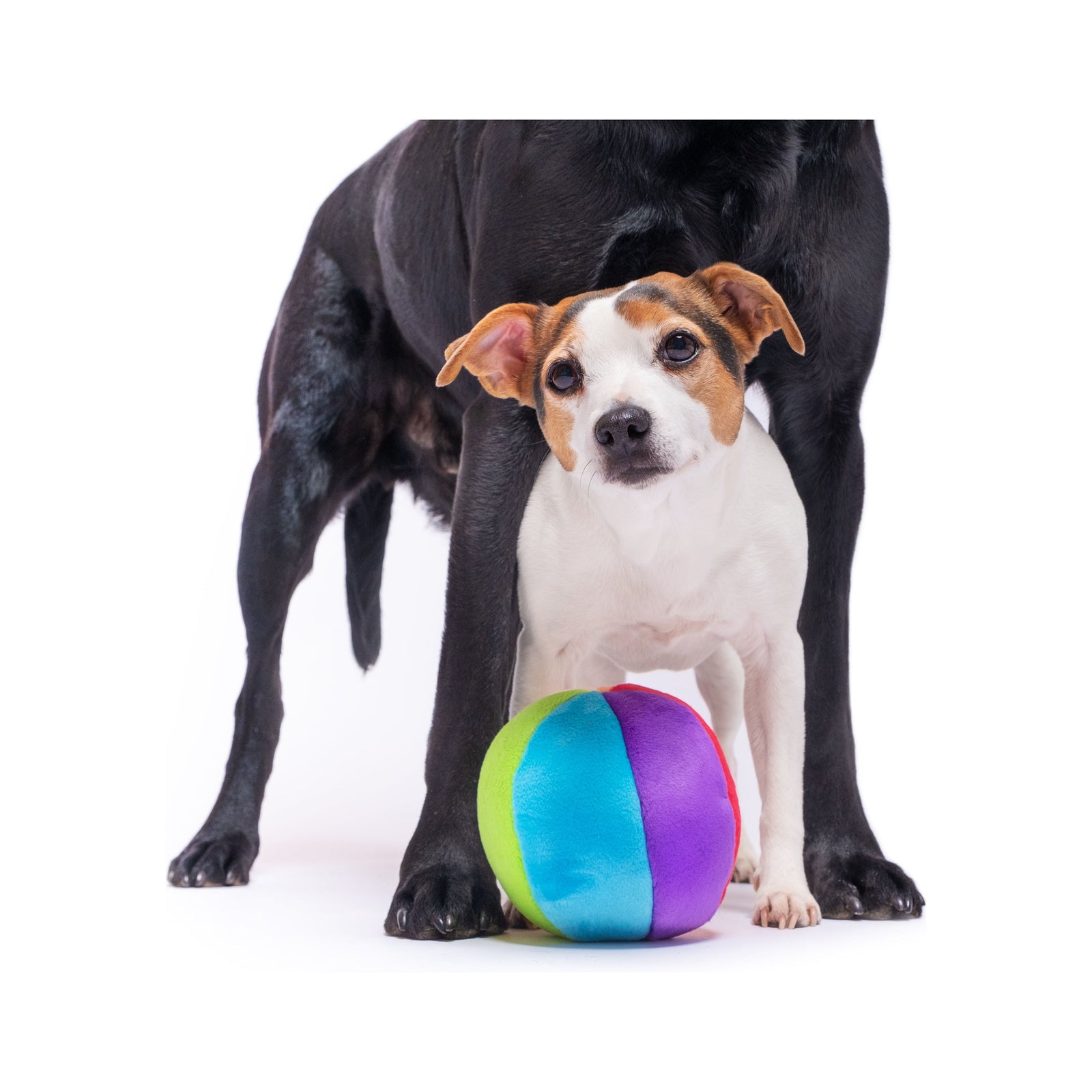 Fluff & Tuff - Mini Beach Ball