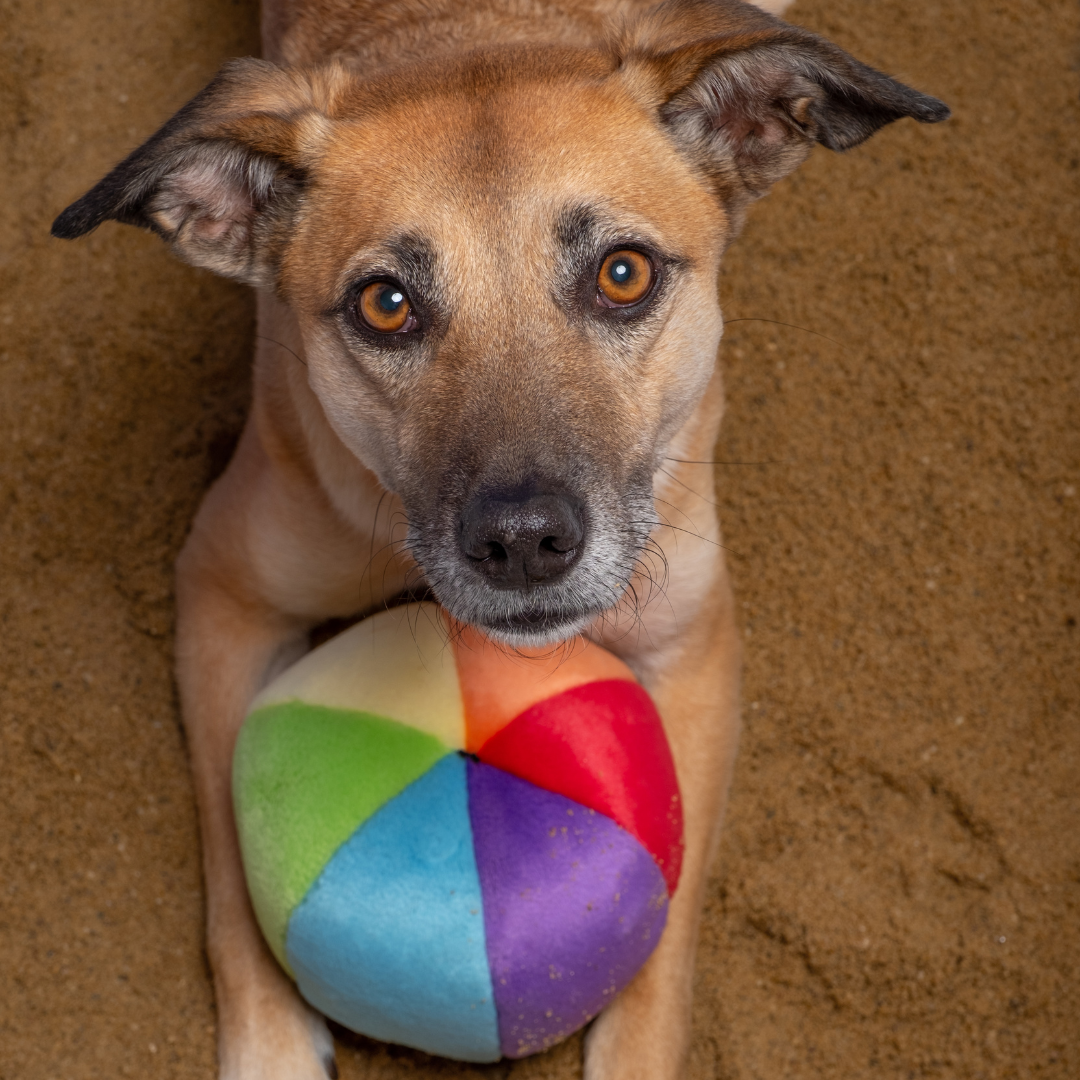Fluff & Tuff - Mini Beach Ball
