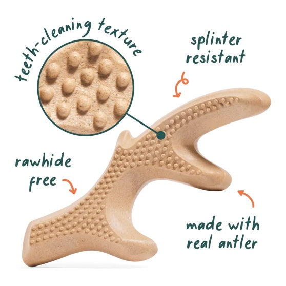 WOOF - The HonestChew - Durable Dog Chew Toy