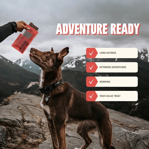 RYOKEN INSTINCT - Adventure Ready Dog Treat Bar, Beef