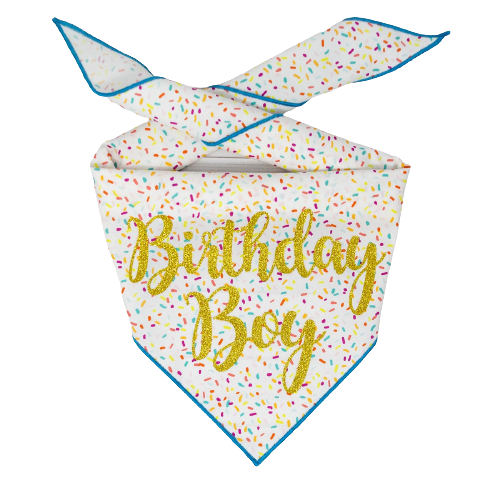Paisley Paw Designs - Confetti Birthday Bandana