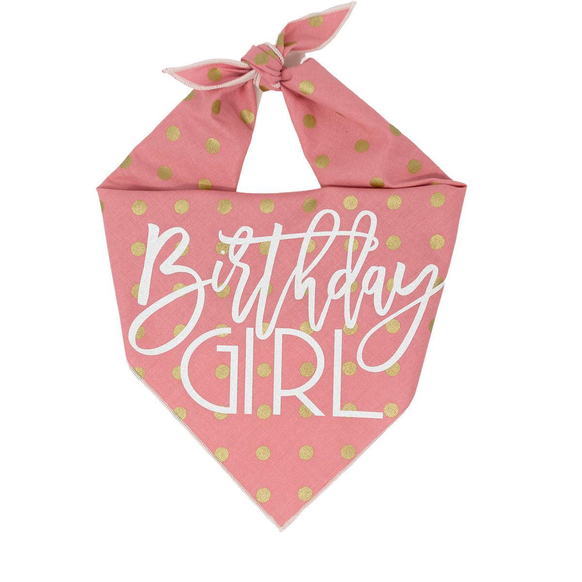Paisley Paw Designs - Birthday Dog Bandana
