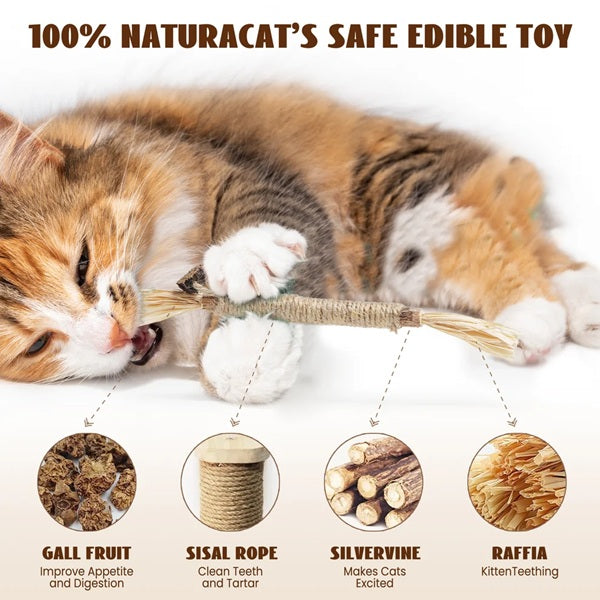 Nocciola - Catnip Toy Playset, 12 Pieces