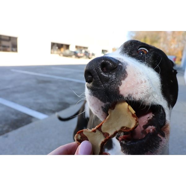 Gaines Family Farmstead - Sweet Potato Cheese Drizzled Bones - Dog Treats