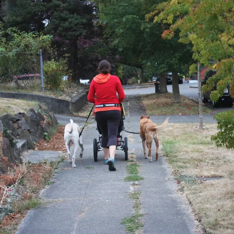 Wonder Walker Hipster - Hands Free Walking/Jogging Belt & Dog Leash