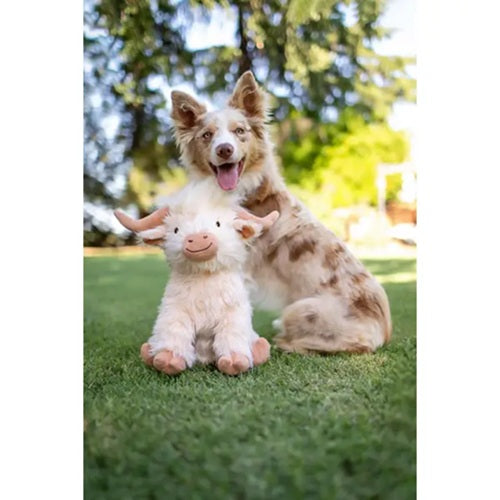 MultiPet - Highland Cow Dog Toy - Assorted Colors