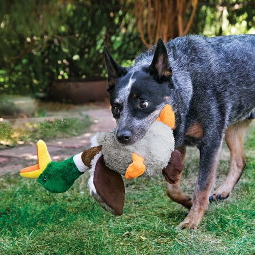 KONG Honkers - Shakers Duck Dog Toy, Large