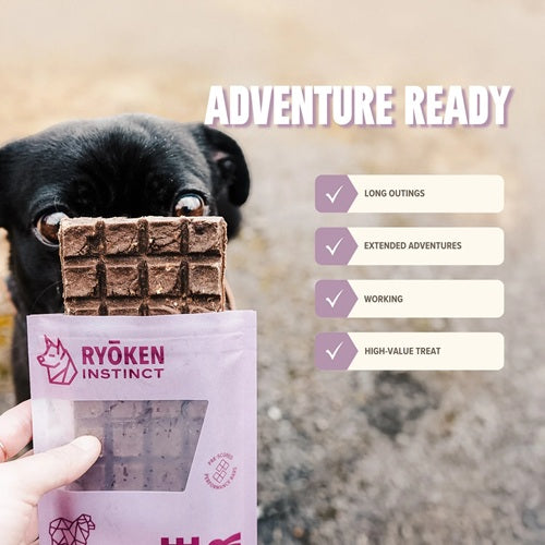 RYOKEN INSTINCT - Adventure Ready Dog Treat Bar, Lamb