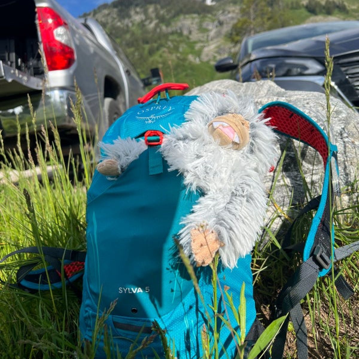 Tall Tails - Yeti