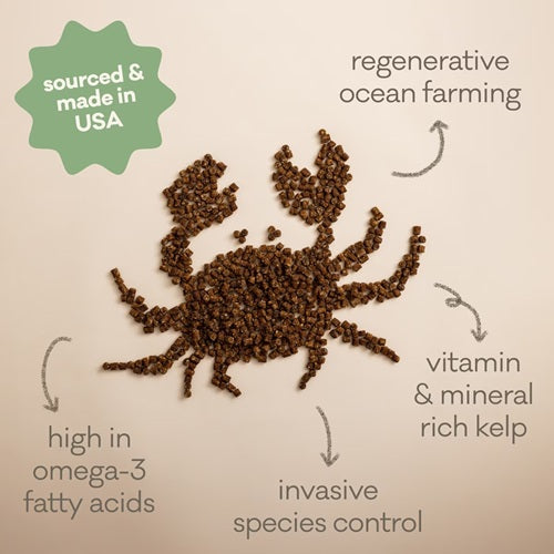 Polkadog - Green Monstah Bits - Green Crab & Kelp Pet Treats