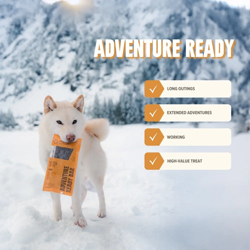 RYOKEN INSTINCT - Adventure Ready Dog Treat Bar, Pork