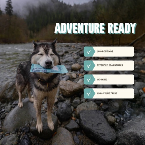 RYOKEN INSTINCT - Adventure Ready Dog Treat Bar, Seafood