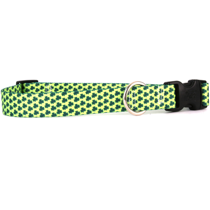 Yellow Dog Design - Petite Shamrock Collar